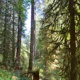 Review photo of Potlatch State Park Campground by Blaine B., August 31, 2020