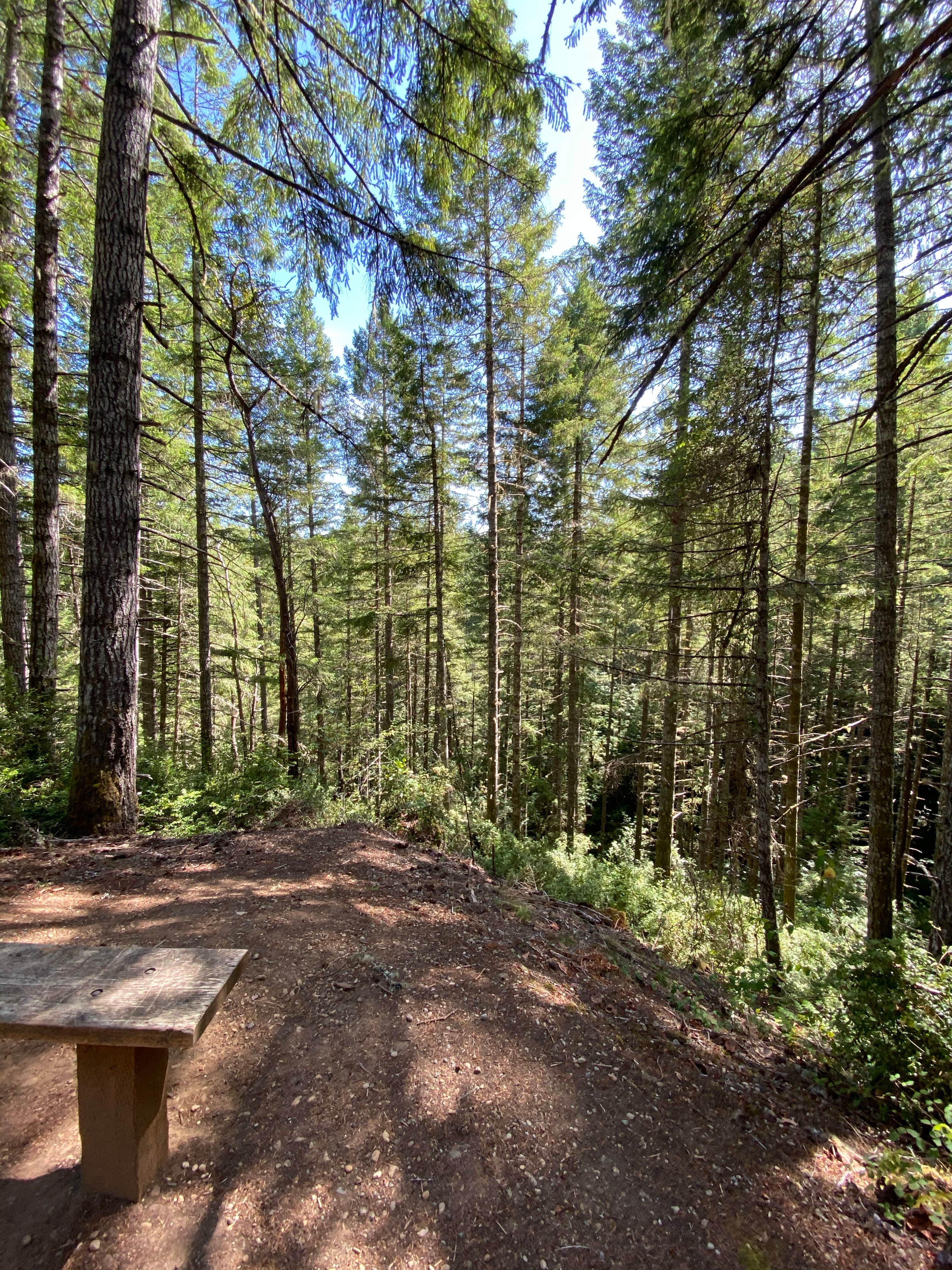 Camper submitted image from Potlatch State Park Campground - 3