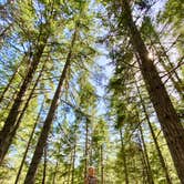 Review photo of Twanoh State Park Campground by Blaine B., August 31, 2020