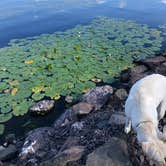 Review photo of Bergland Township Park & Campground by Sarah W., August 31, 2020