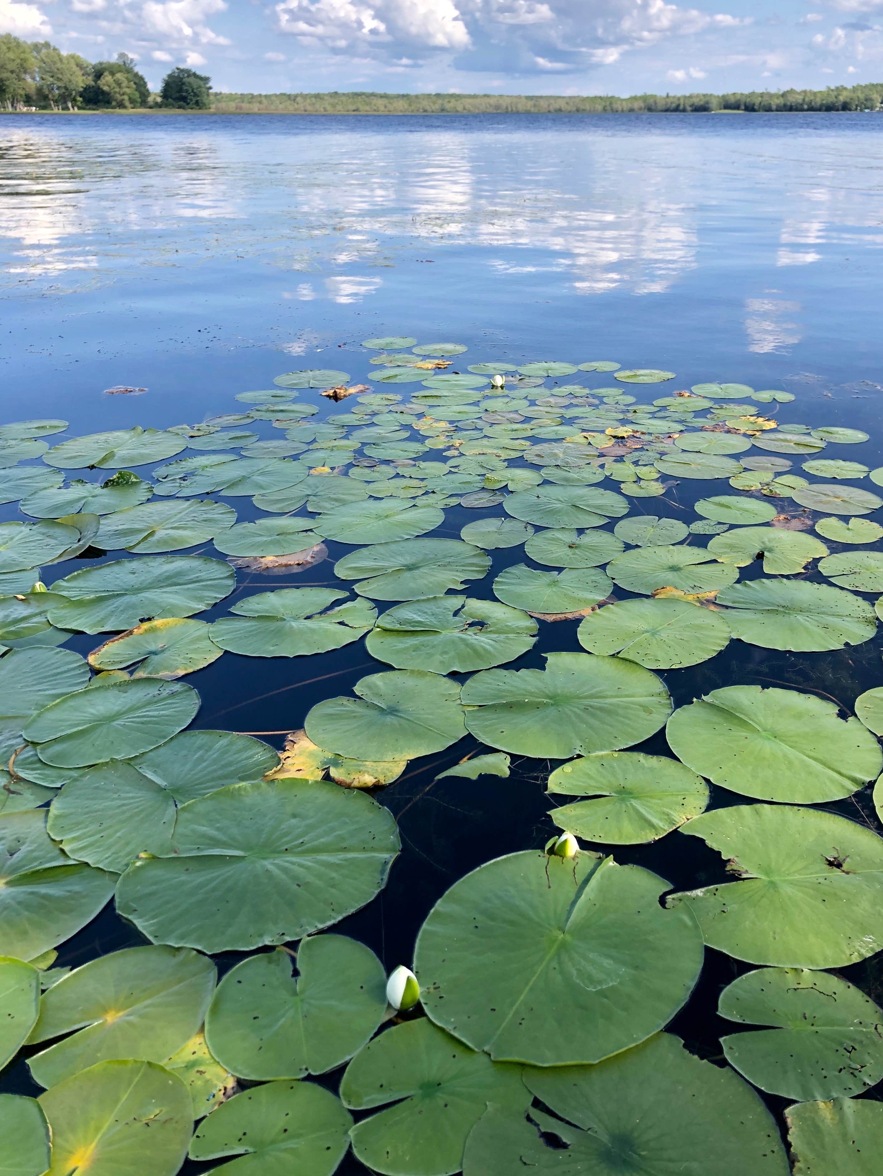 Camper submitted image from Bergland Township Park & Campground - 2