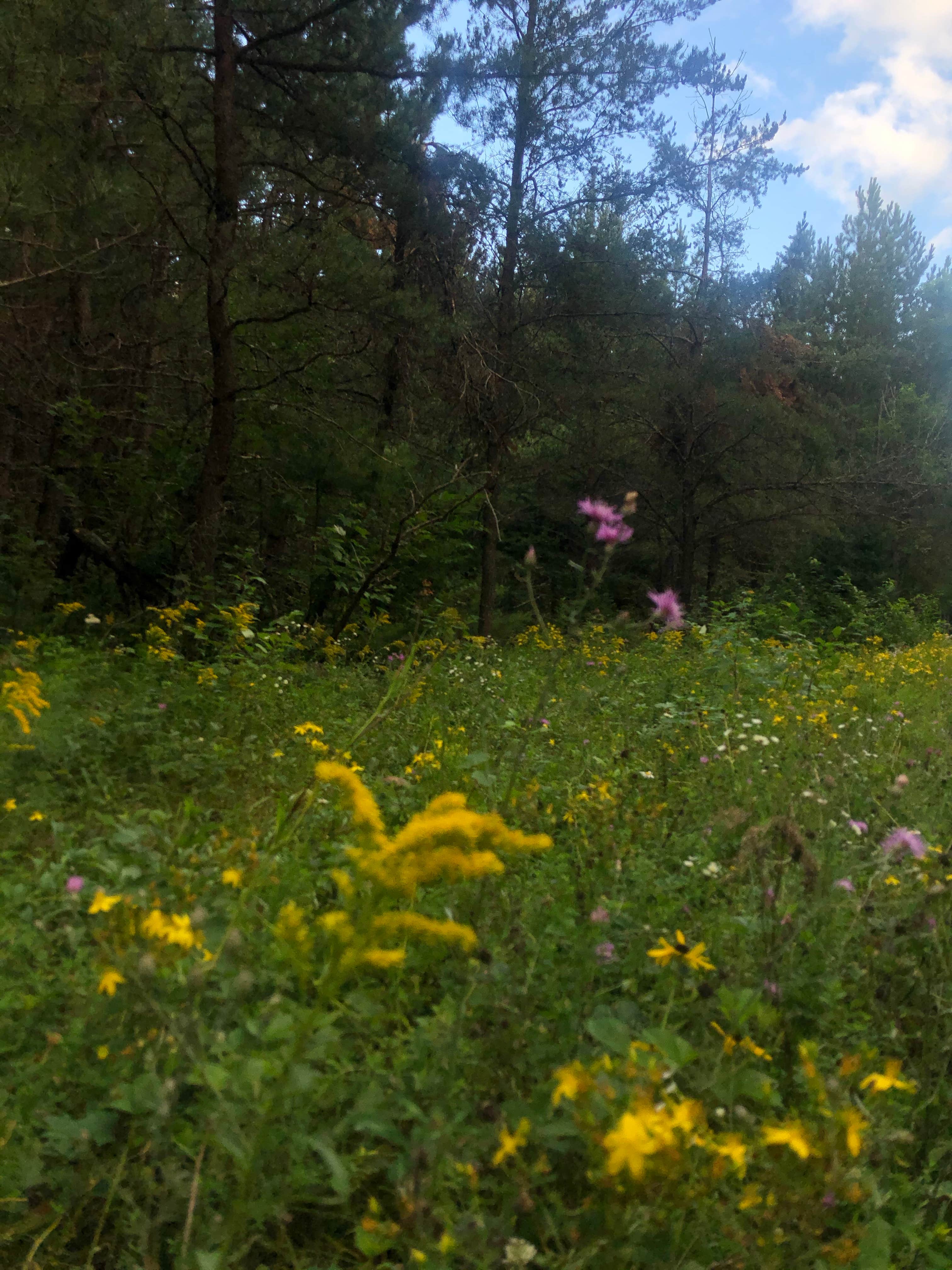 Camper-submitted photo at Sparrow Rapids Campground near Trout Creek, MI