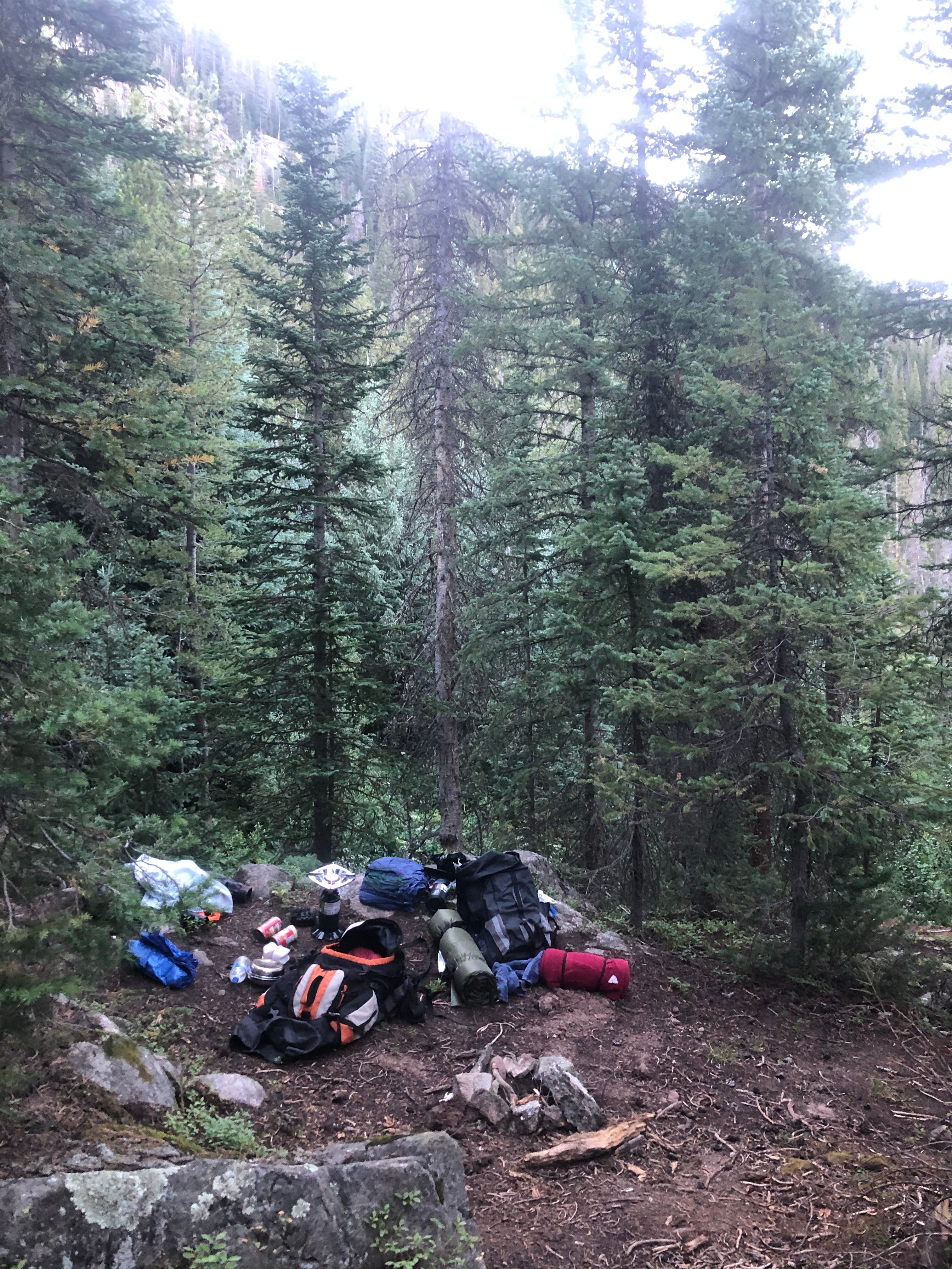 Camper submitted image from Whitney Lake - 1