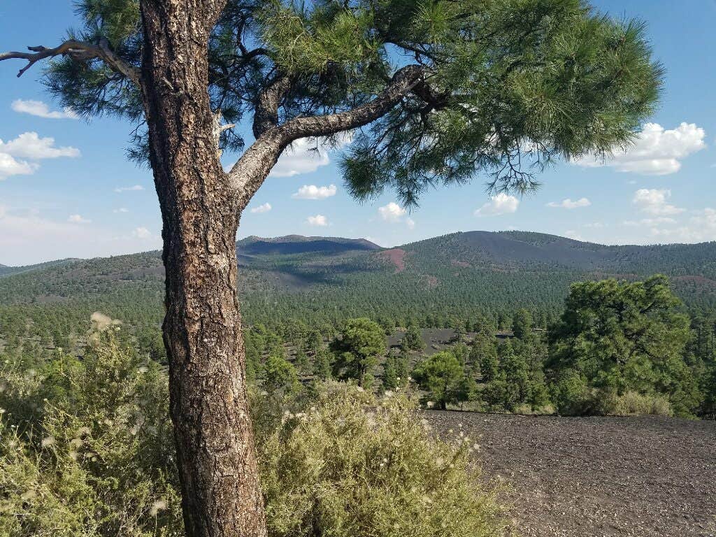 Camper-submitted photo at Bonito Campground — Sunset Crater National Monument near Gray Mountain, AZ