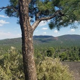 Review photo of Bonito Campground — Sunset Crater National Monument by Brad B., June 10, 2020