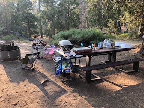 Camper submitted image from Dinkey Creek - 4
