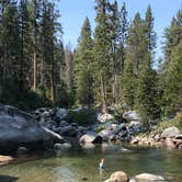 Review photo of Dinkey Creek by Erin S., August 31, 2020