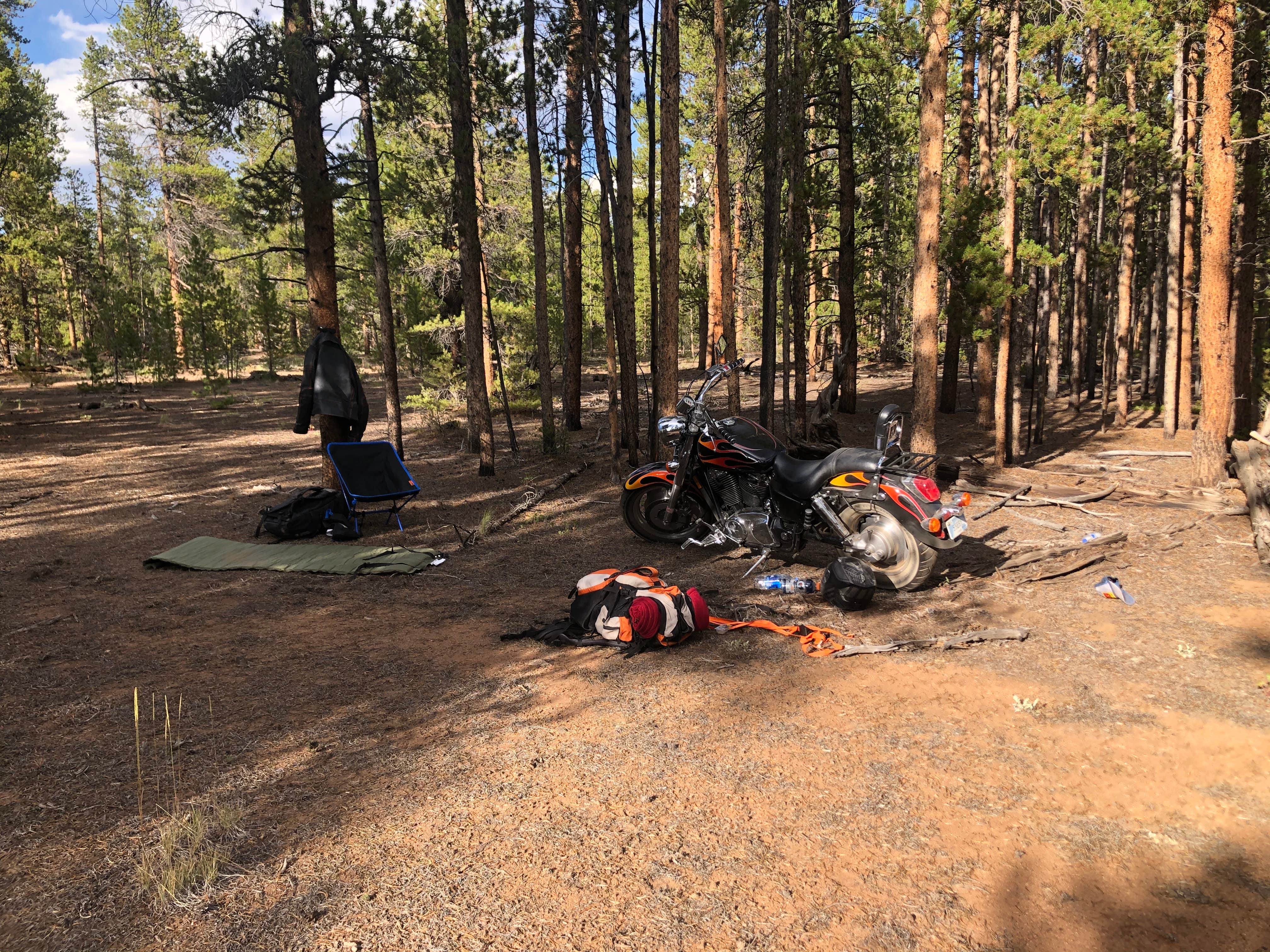 Camper submitted image from Forest Road 130 - 3
