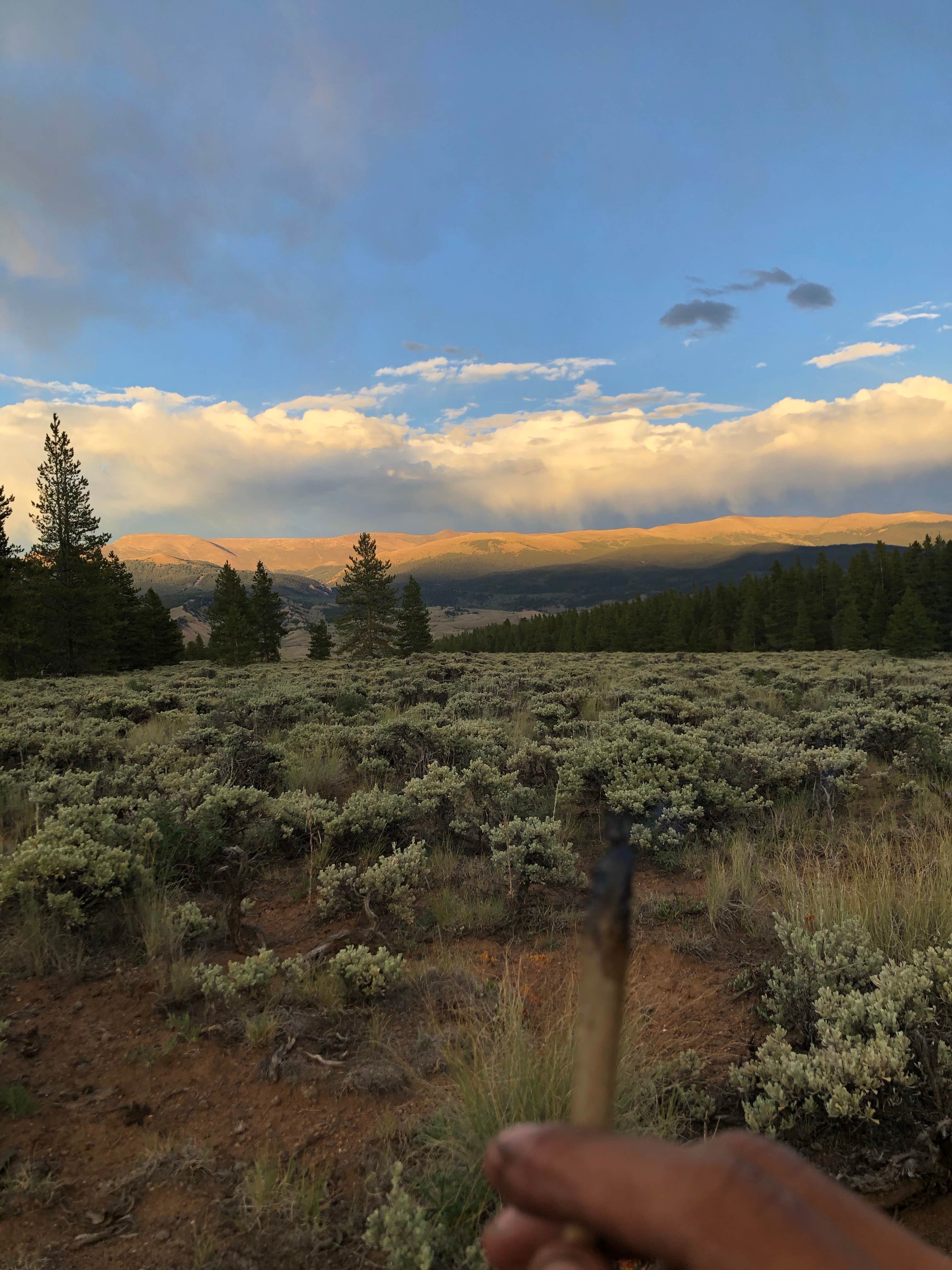 Camper-submitted photo at Forest Road 130 near Snowmass Village, CO