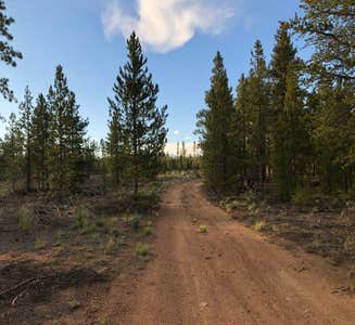 Camper-submitted photo from Forest Road 130