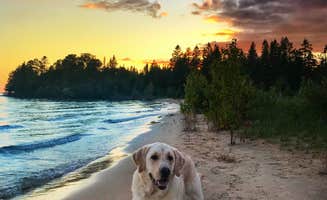 Samantha B.'s photo of camping with pets at Hog Island Point State Forest Campground near Naubinway, MI