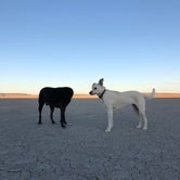 Review photo of Alvord Desert by Sarah W., August 31, 2020