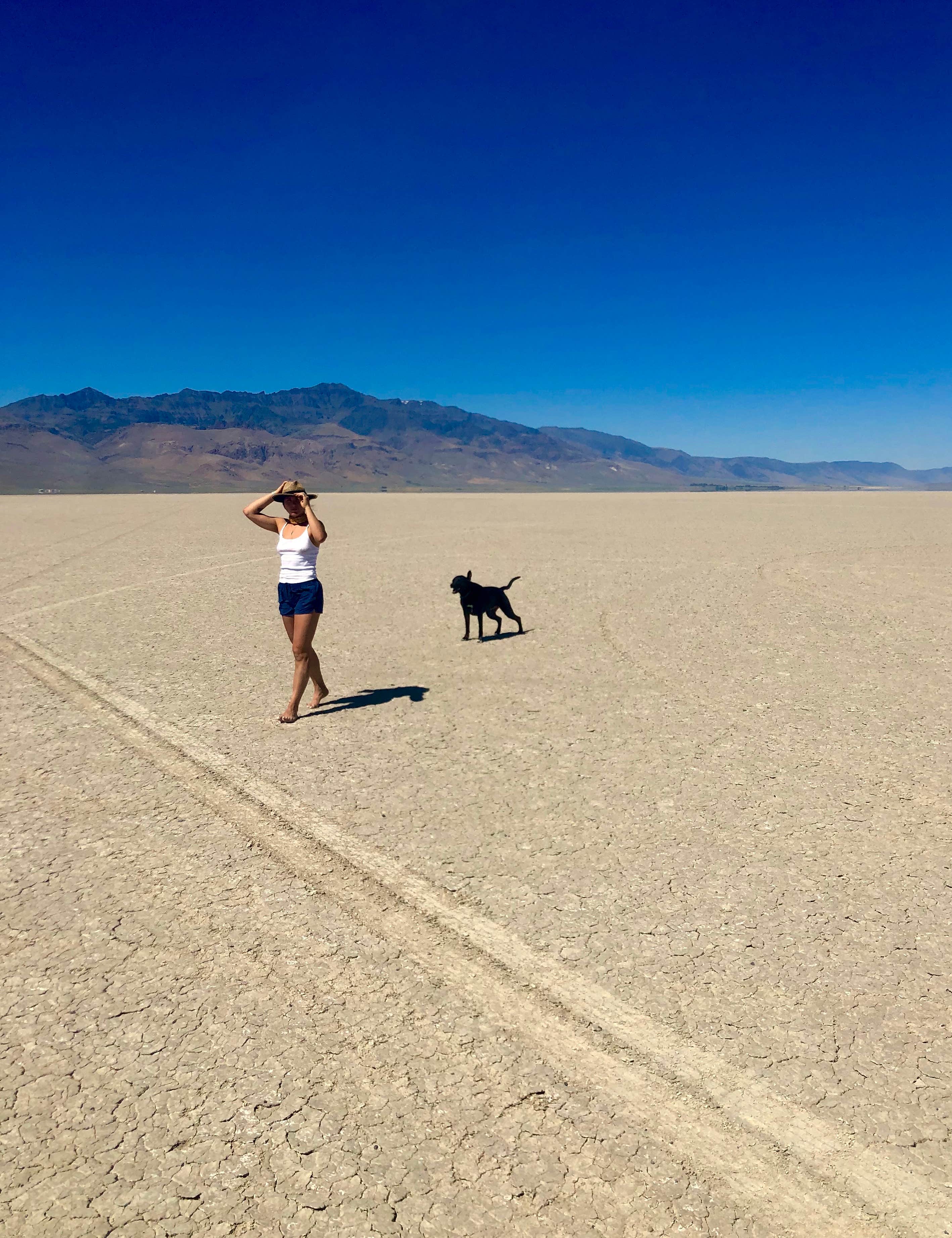 Camper submitted image from Alvord Desert - 3