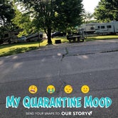 Review photo of Tuttle Creek State Park Campground by Joey B., August 31, 2020