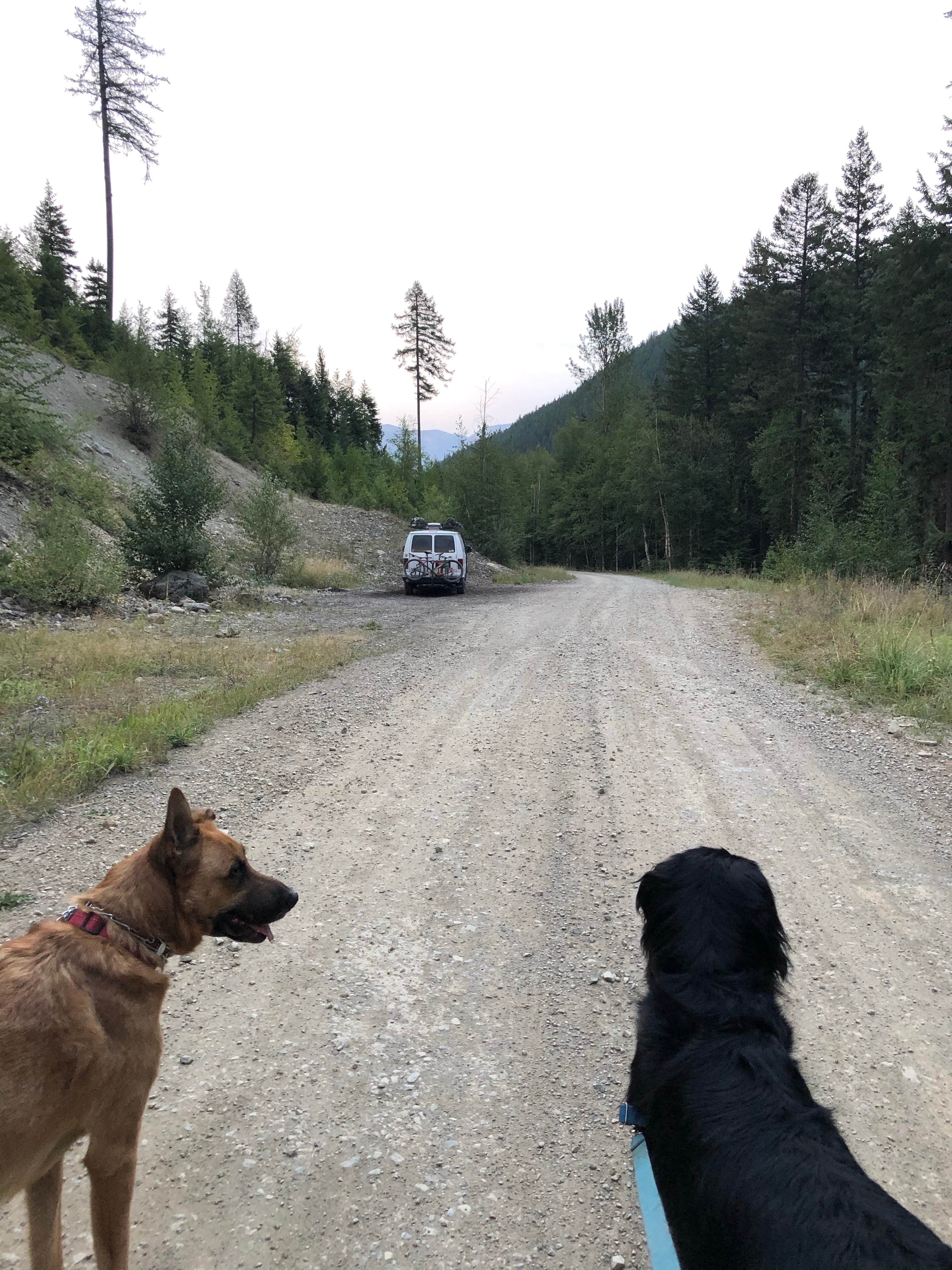 Camper-submitted photo at Dorris Creek Road near Somers, MT