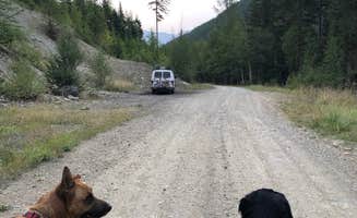 Alex P.'s photo of camping with pets at Dorris Creek Road near Kalispell, MT