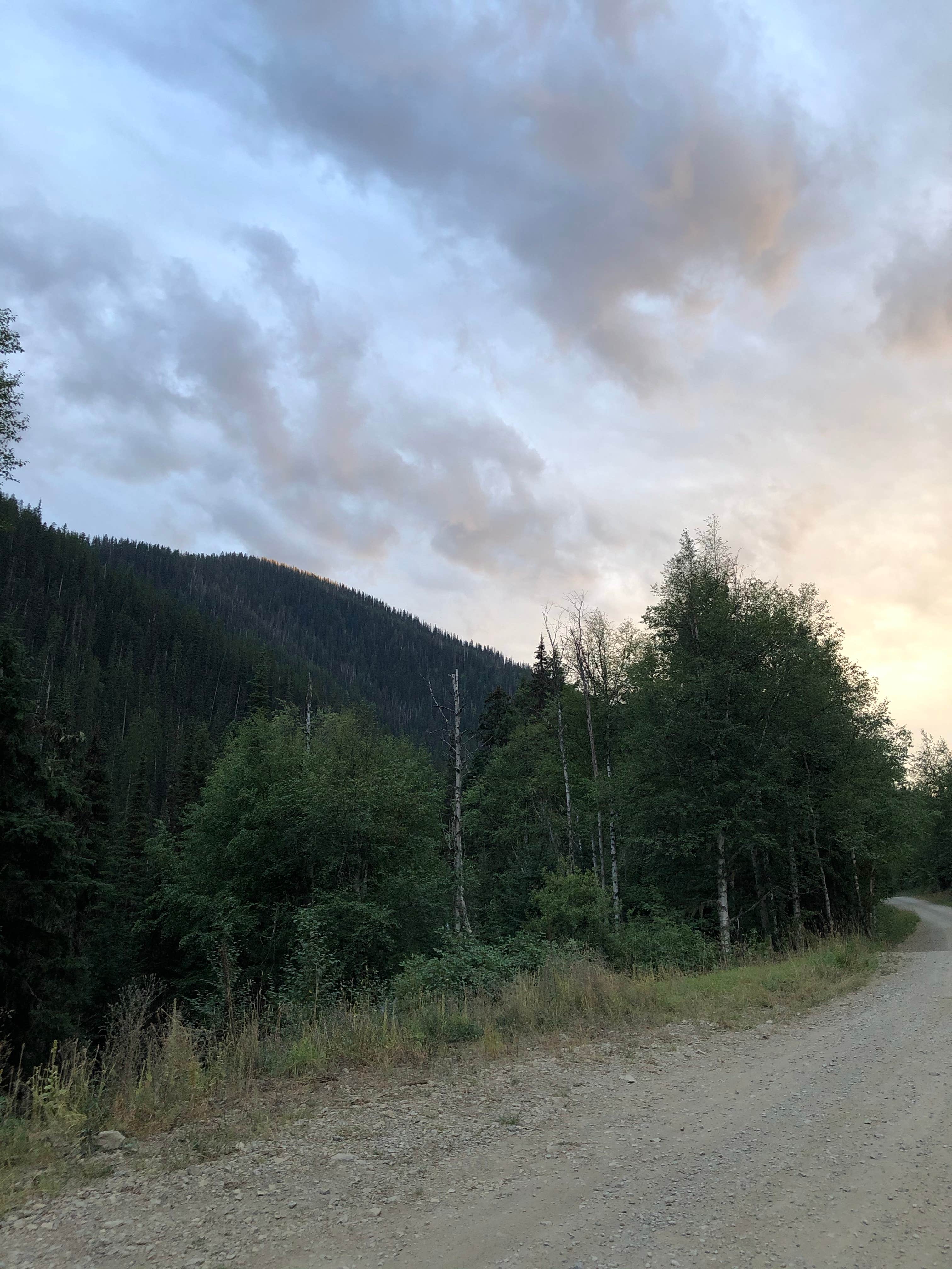 Camper-submitted photo at Dorris Creek Road near Somers, MT