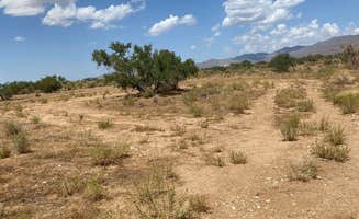 Jessica M.'s photo of a dispersed camping area at Cerbat Foothills Dispersed - PERMANENTLY CLOSED near Bullhead City, AZ