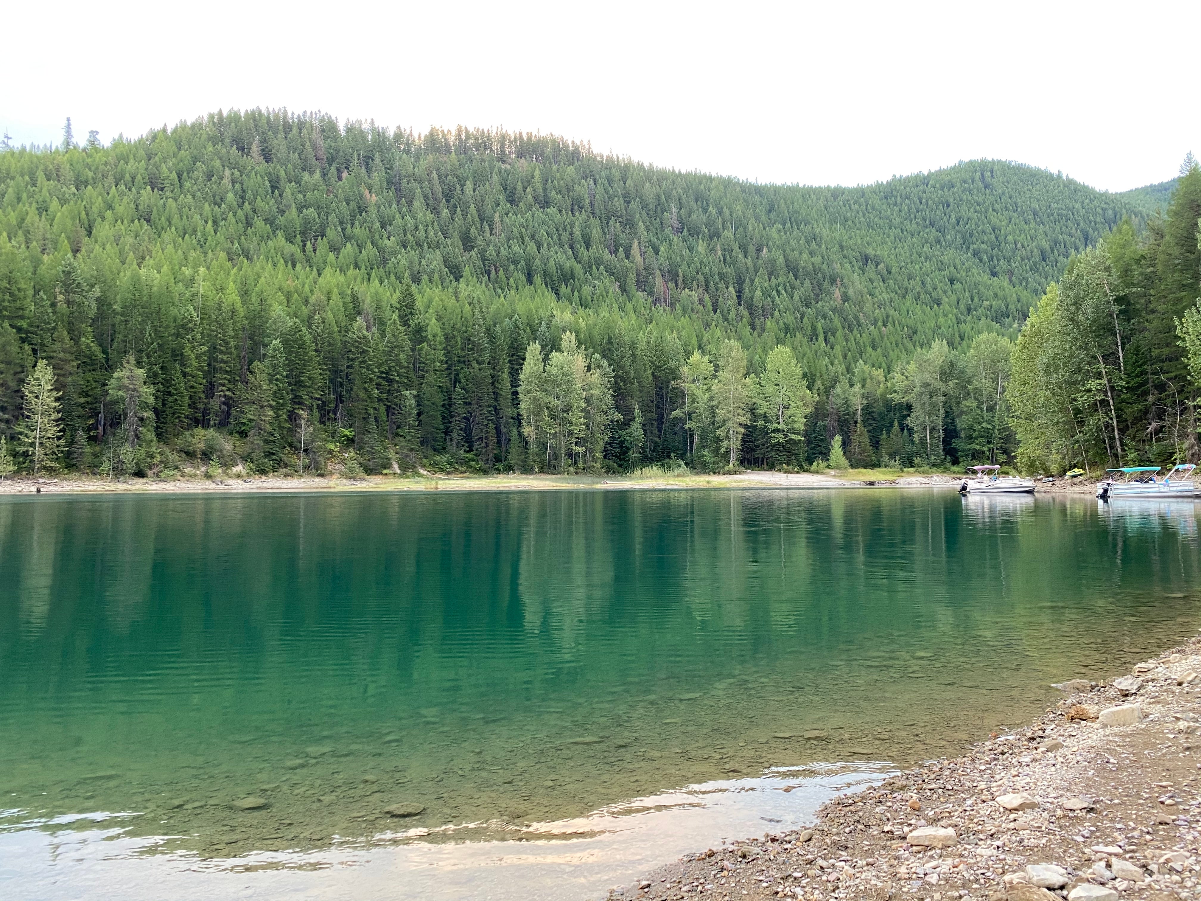 Camper submitted image from Lost Johnny Campground - Flathead National Forest - 2