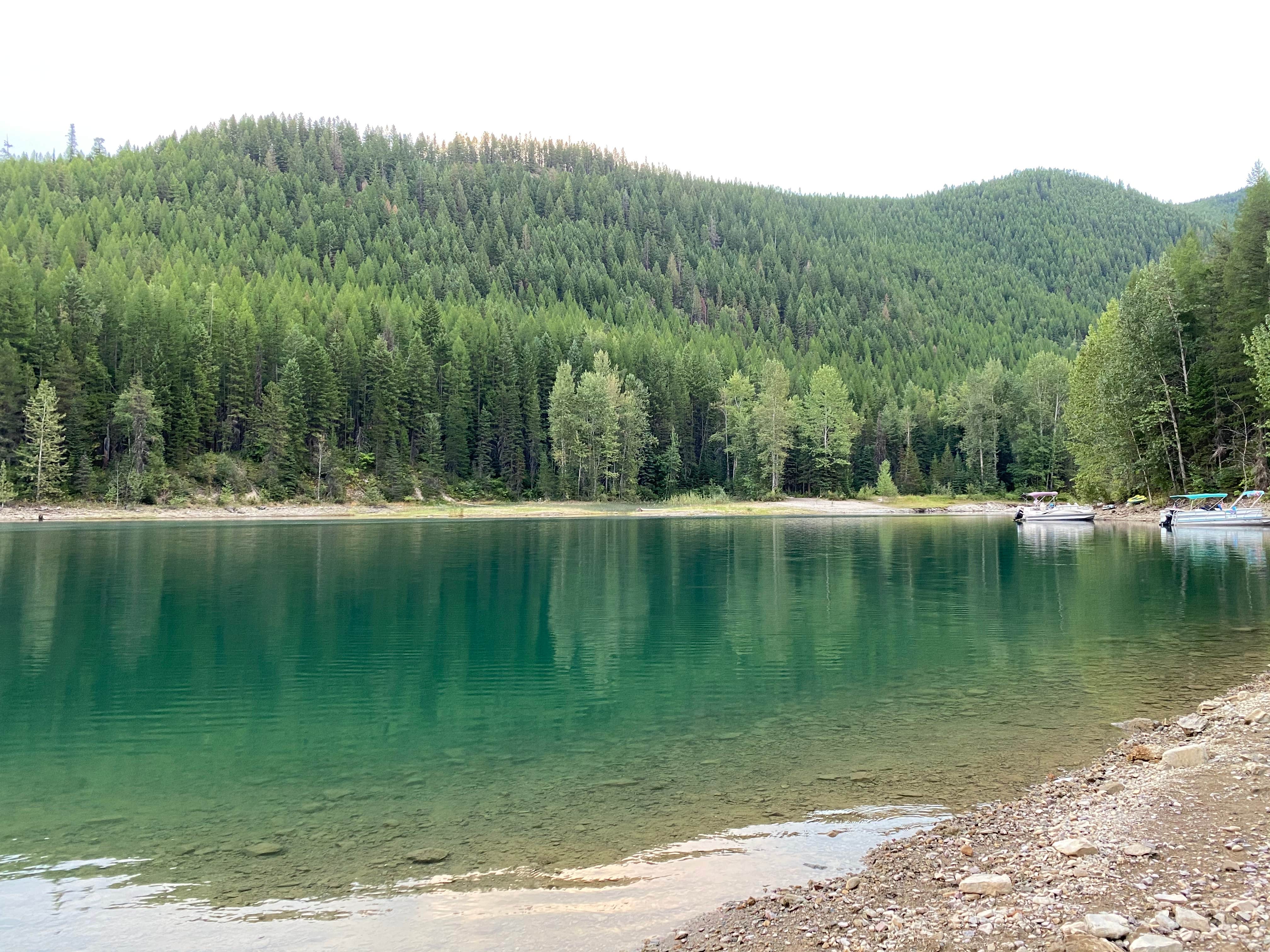 Camper submitted image from Lost Johnny Campground - Flathead National Forest - 2