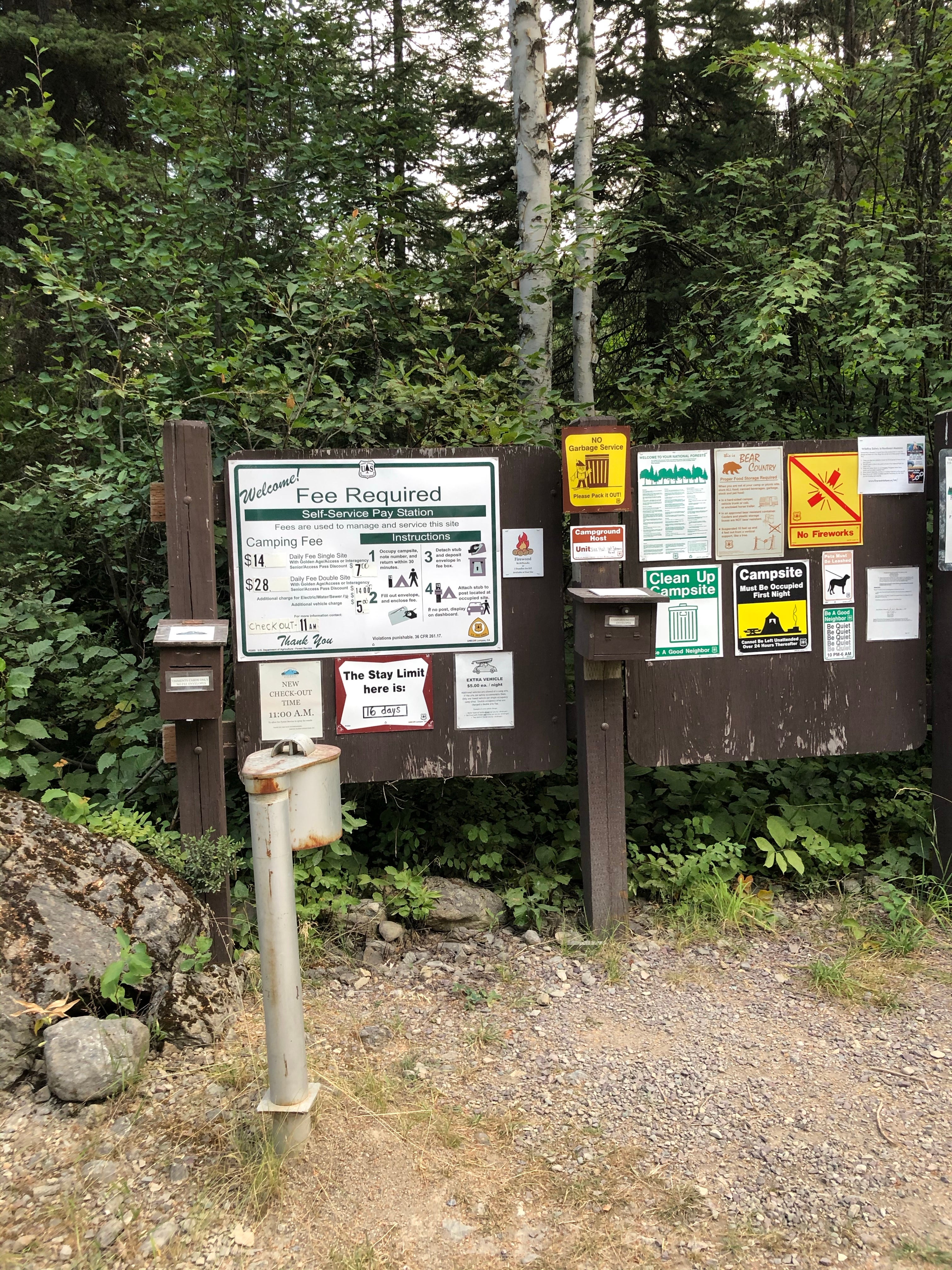 Camper submitted image from Lost Johnny Campground - Flathead National Forest - 1