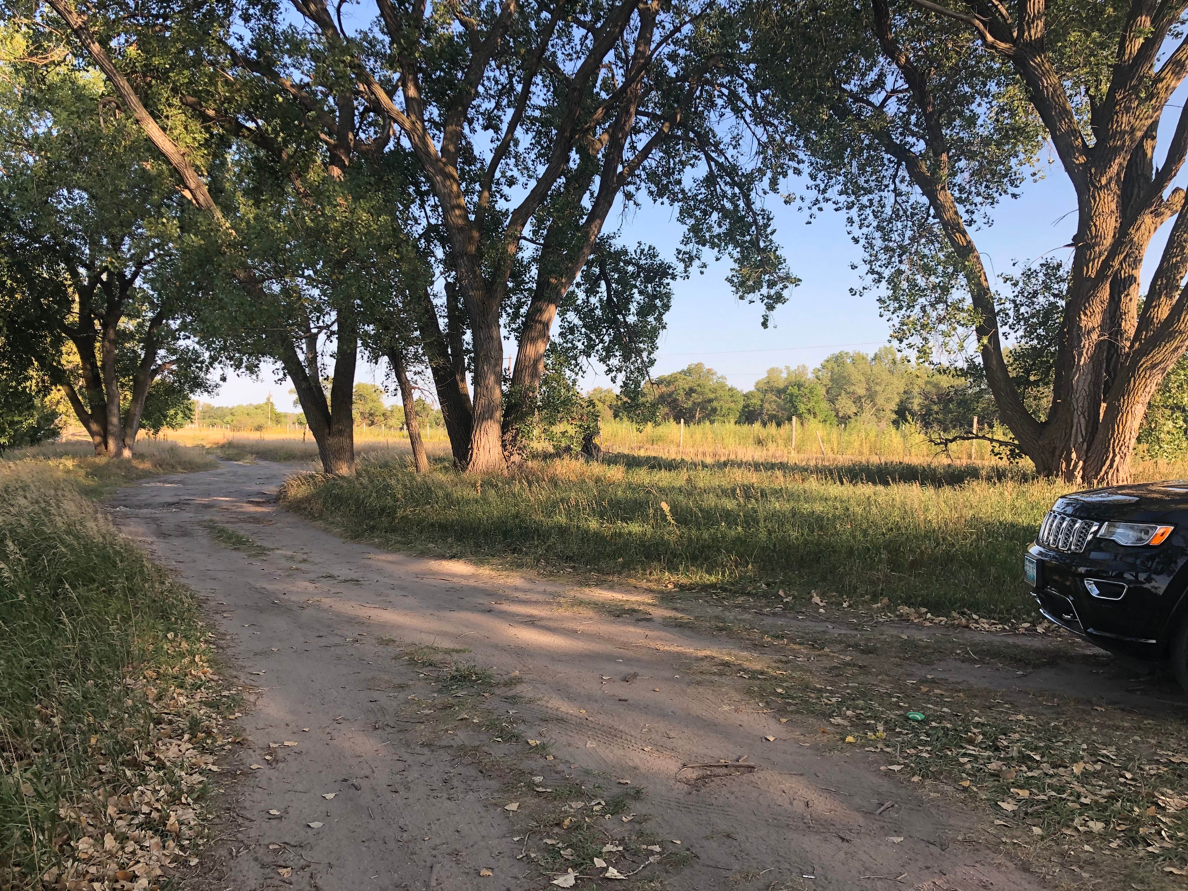 Brady Wildlife Management Area