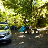 Review photo of South Fork Hoh Campground by Jillian , August 31, 2020