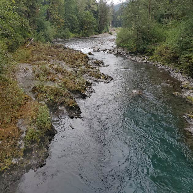 South Fork Hoh Campground Camping Forks, WA The Dyrt