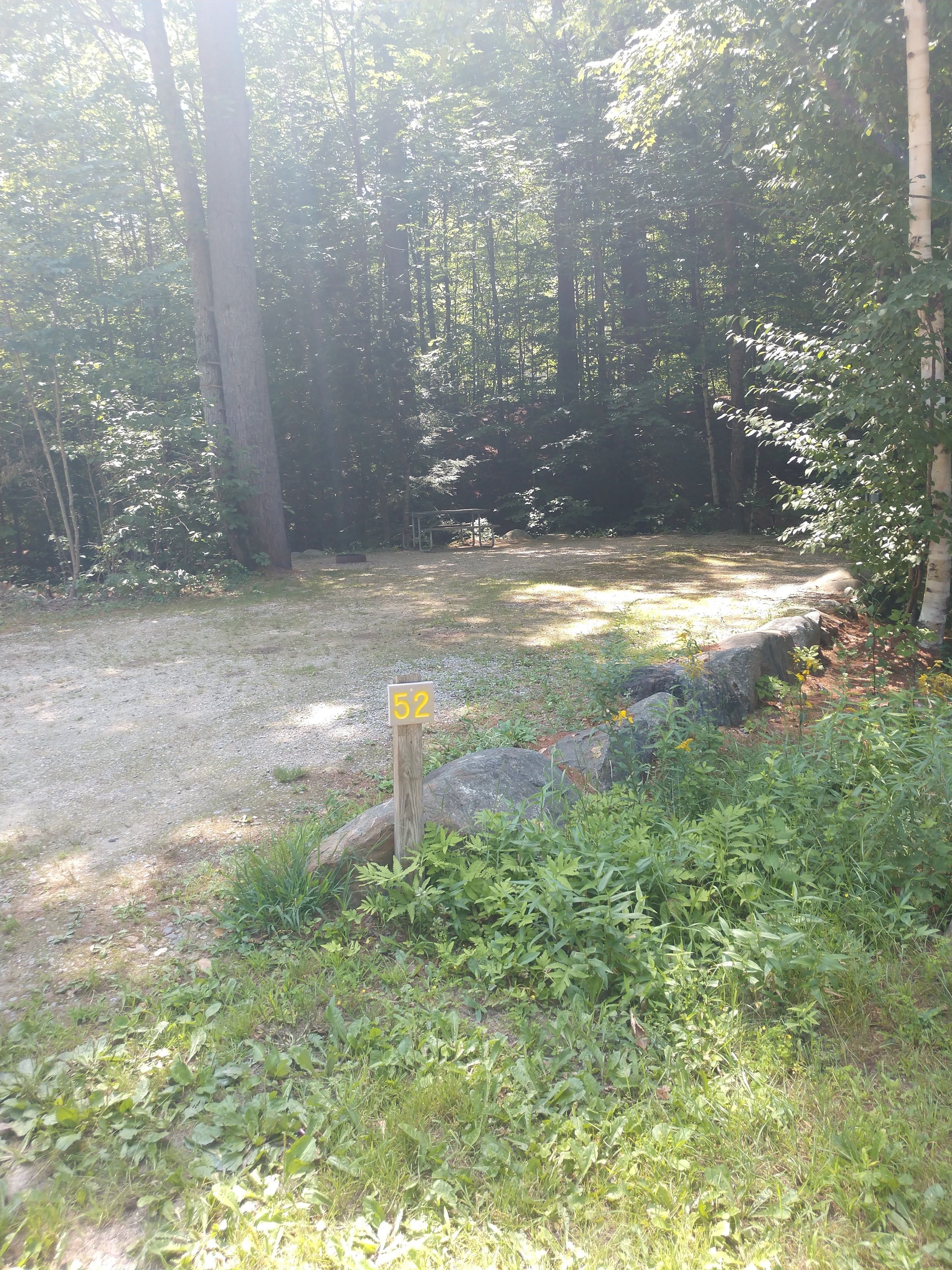 Camper submitted image from Ames Brook Campground - 2