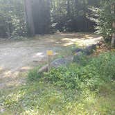 Review photo of Ames Brook Campground by Camie S., August 31, 2020