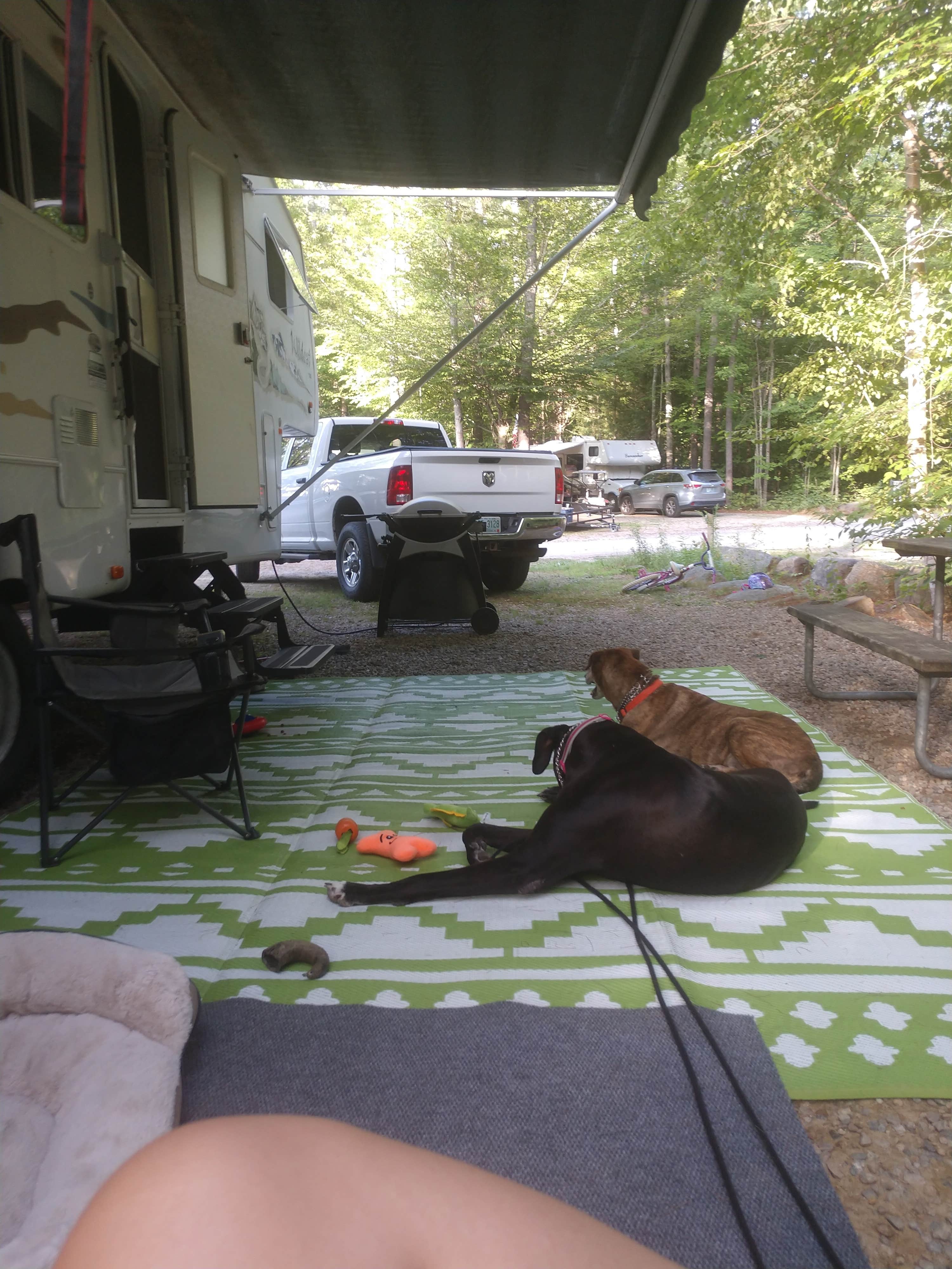 Camper-submitted photo at Ames Brook Campground near Sanbornton, NH