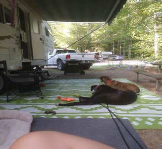 Camper-submitted photo from Ames Brook Campground