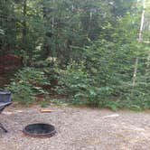 Review photo of Ames Brook Campground by Camie S., August 31, 2020