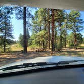 Review photo of Ute Campground by Katie H., August 31, 2020