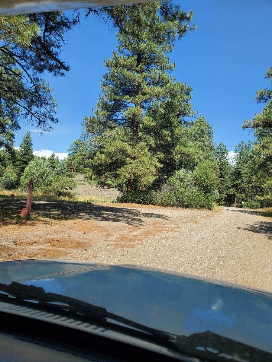 Camper-submitted photo at Ute Campground near Pagosa Springs, CO