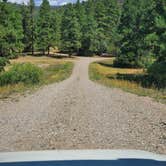 Review photo of Ute Campground by Katie H., August 31, 2020