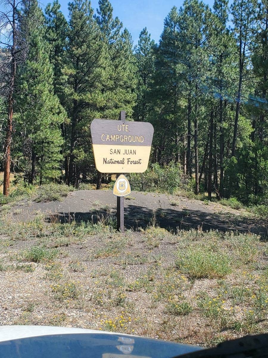 Camper-submitted photo at Ute Campground near Pagosa Springs, CO