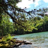 Review photo of Shoal Creek Campground by Tiffany B., August 31, 2020