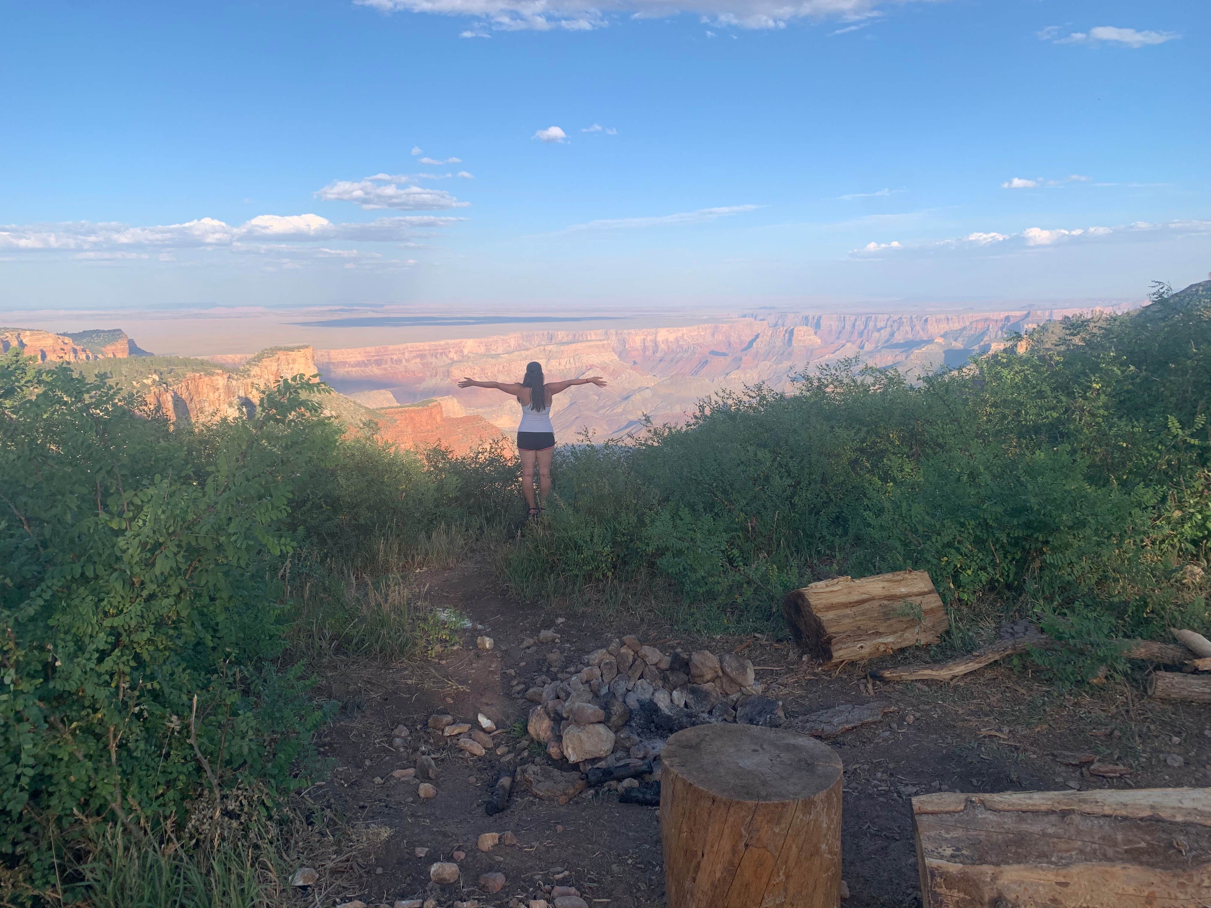 Camper submitted image from Saddle Mountain (Kaibab NF) - 4