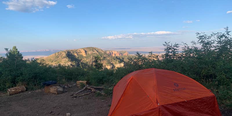 Camper submitted image from Saddle Mountain (Kaibab NF)