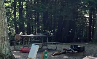 Stephanie J.'s photo at Dalrymple Park and Campground in Wisconsin