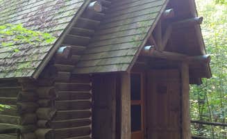 Rachel K.'s photo of a cabin at Hartwick Pines State Park Campground near Mancelona, MI