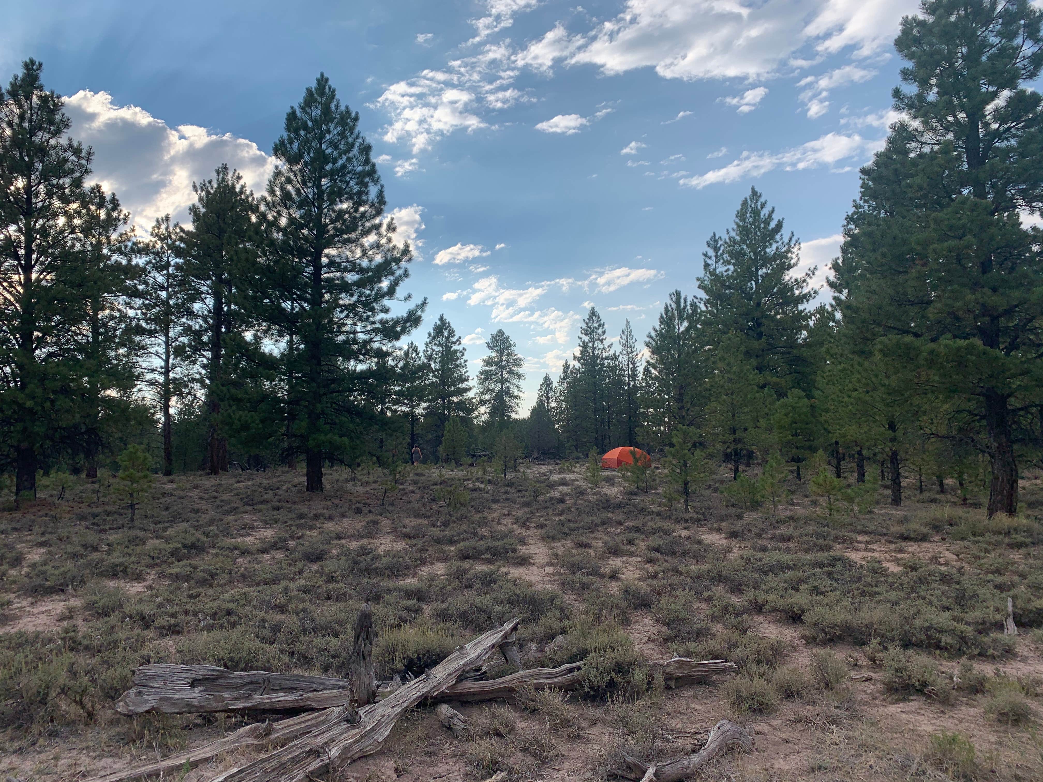 Camper-submitted photo at Great Western Trail Dispersed near Henrieville, UT