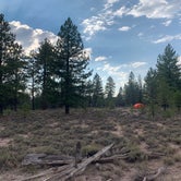 Review photo of Great Western Trail Dispersed by Kate L., August 31, 2020