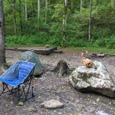 Review photo of Curtis Creek Campground by Joanna R., August 31, 2020