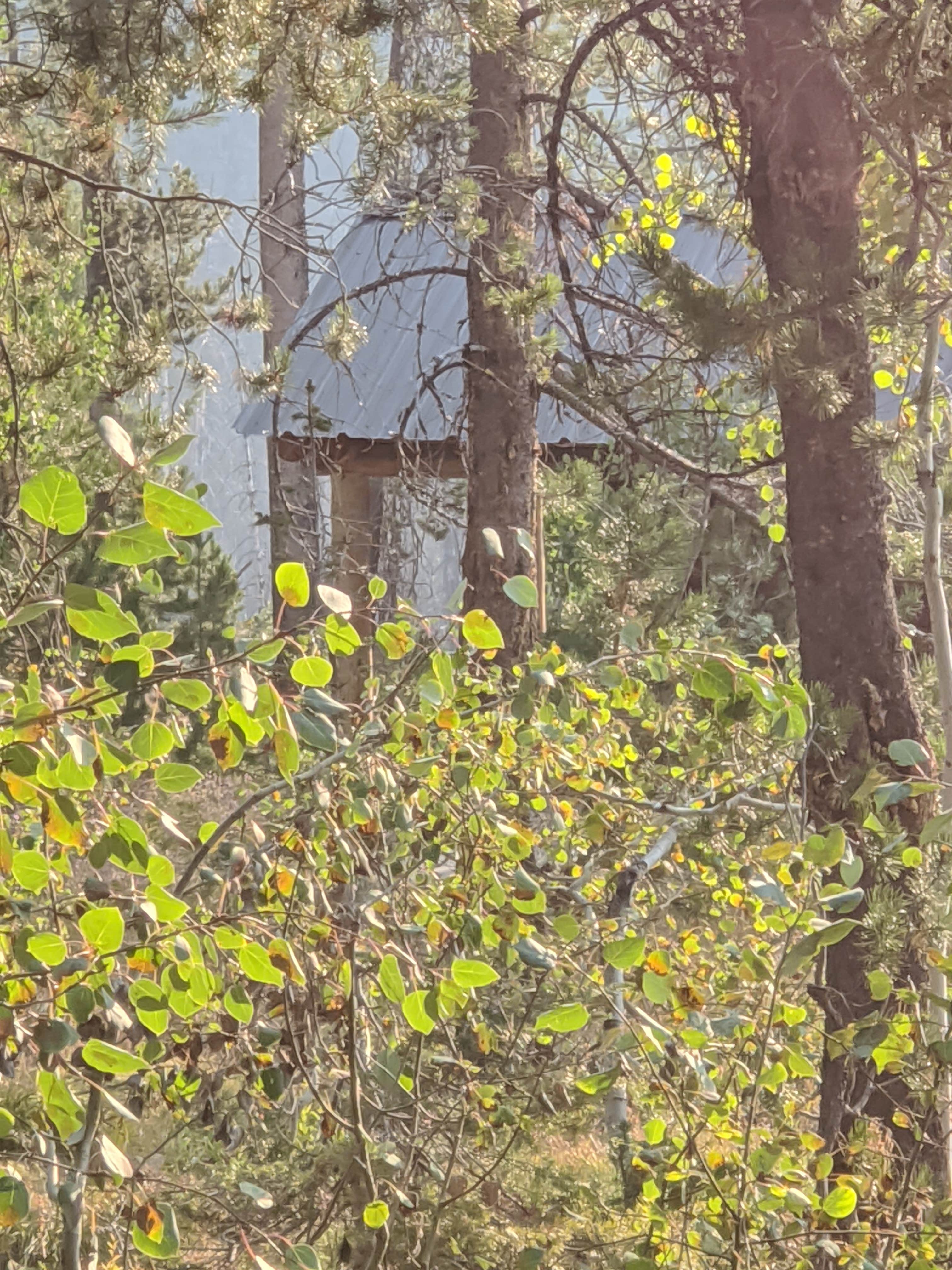 Camper-submitted photo at Boise National Forest Whoop-em-up Equestrian Campground near Cascade, ID