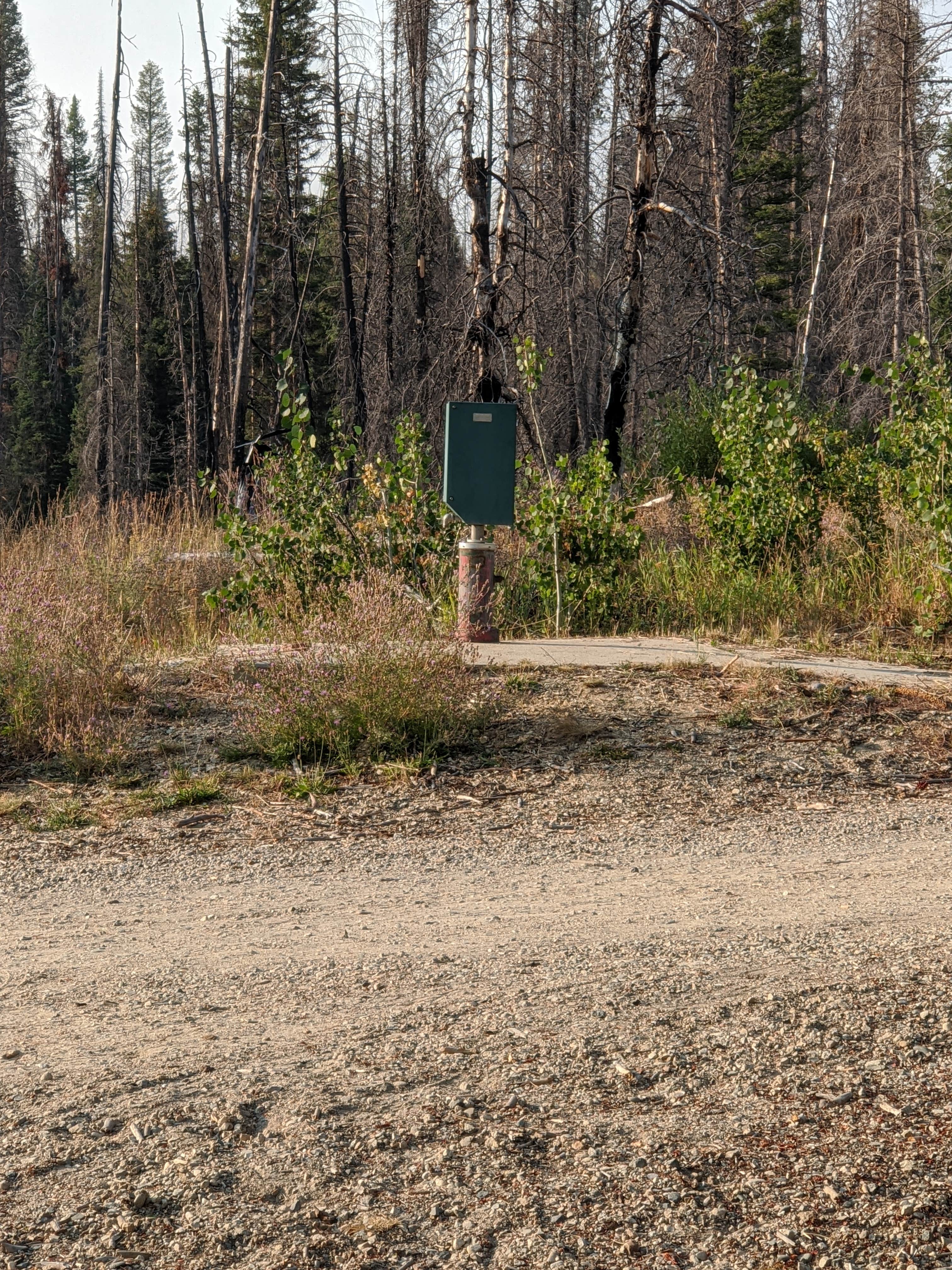 Camper-submitted photo at Boise National Forest Whoop-em-up Equestrian Campground near Cascade, ID