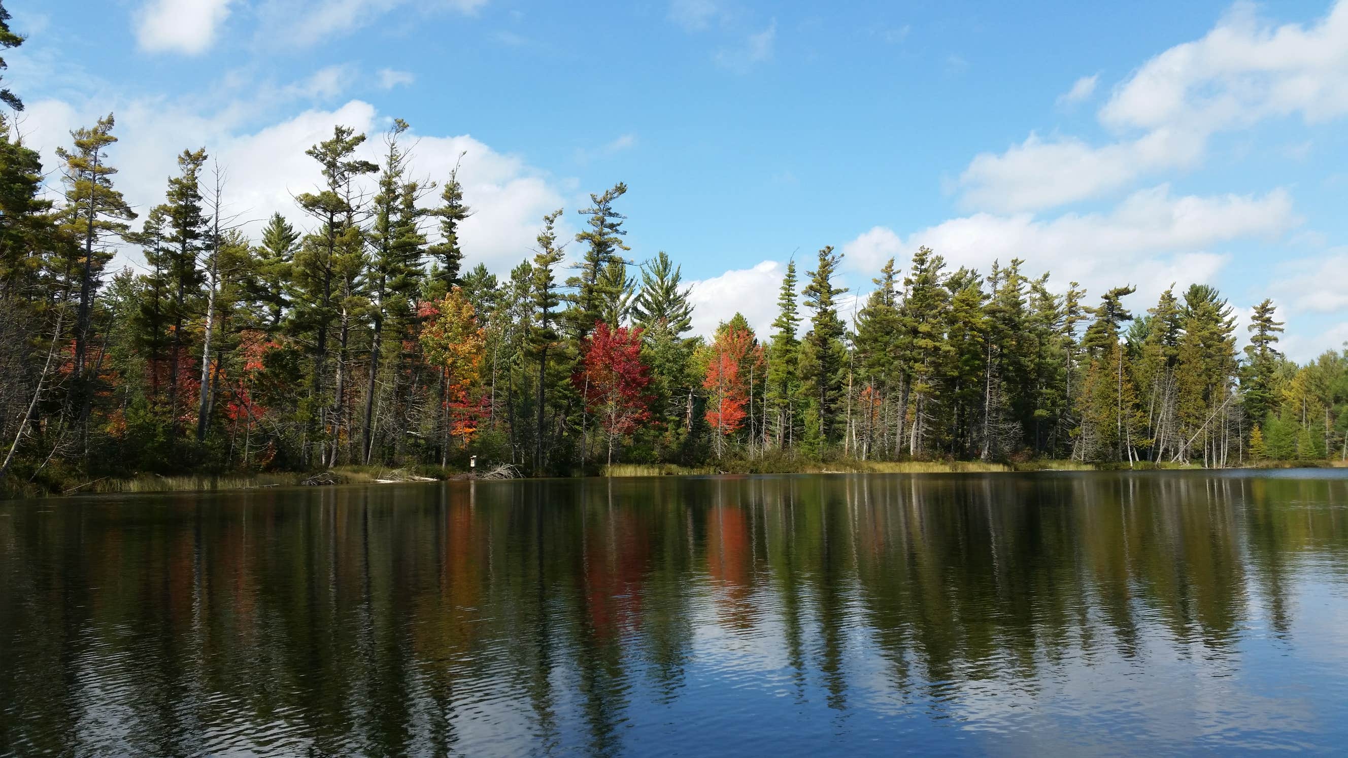 Camper-submitted photo at Hartwick Pines State Park Campground near South Boardman, MI