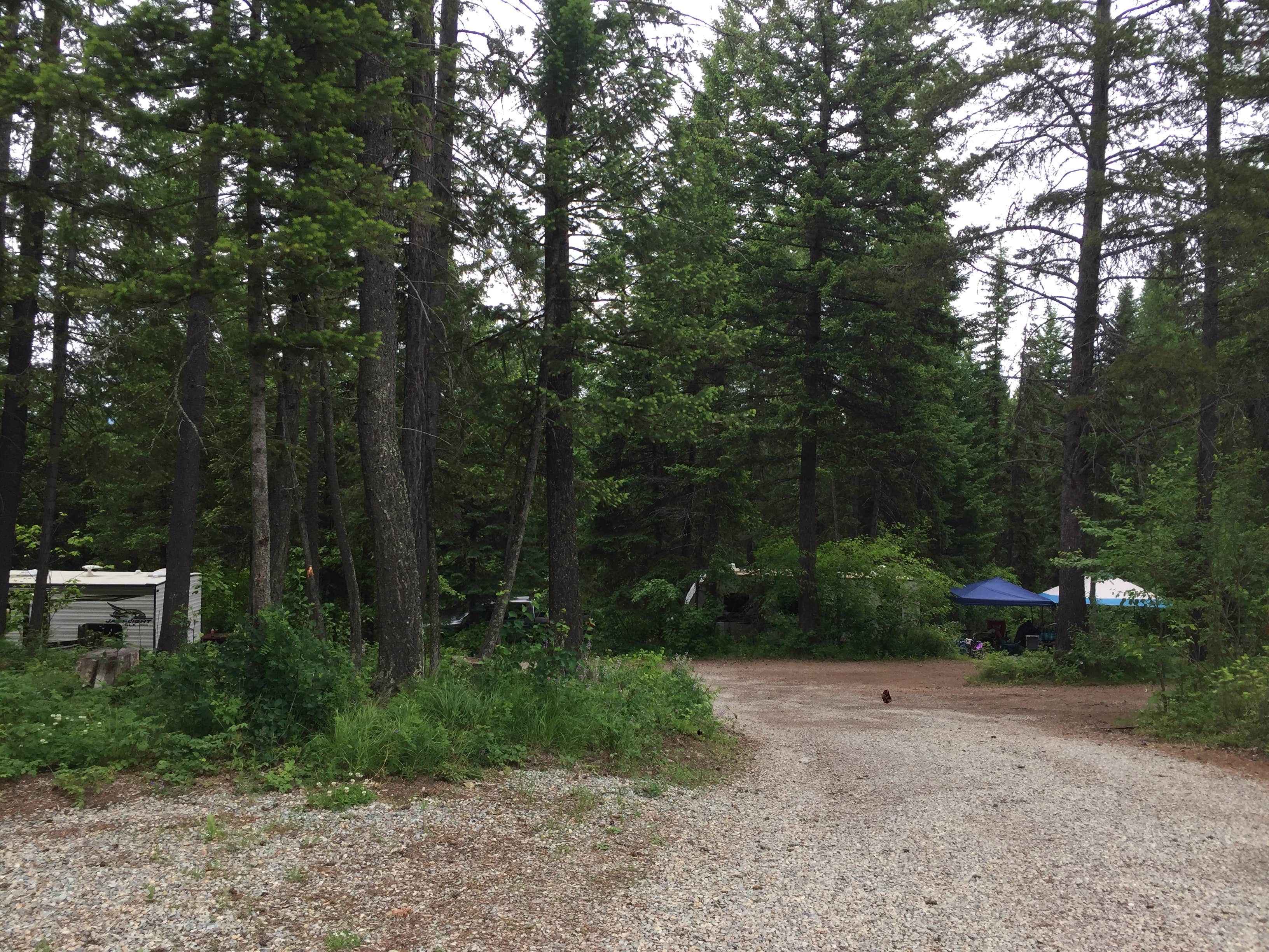 Camper-submitted photo at Mountain Meadow RV Park and Cabins near Siyeh Bend, MT