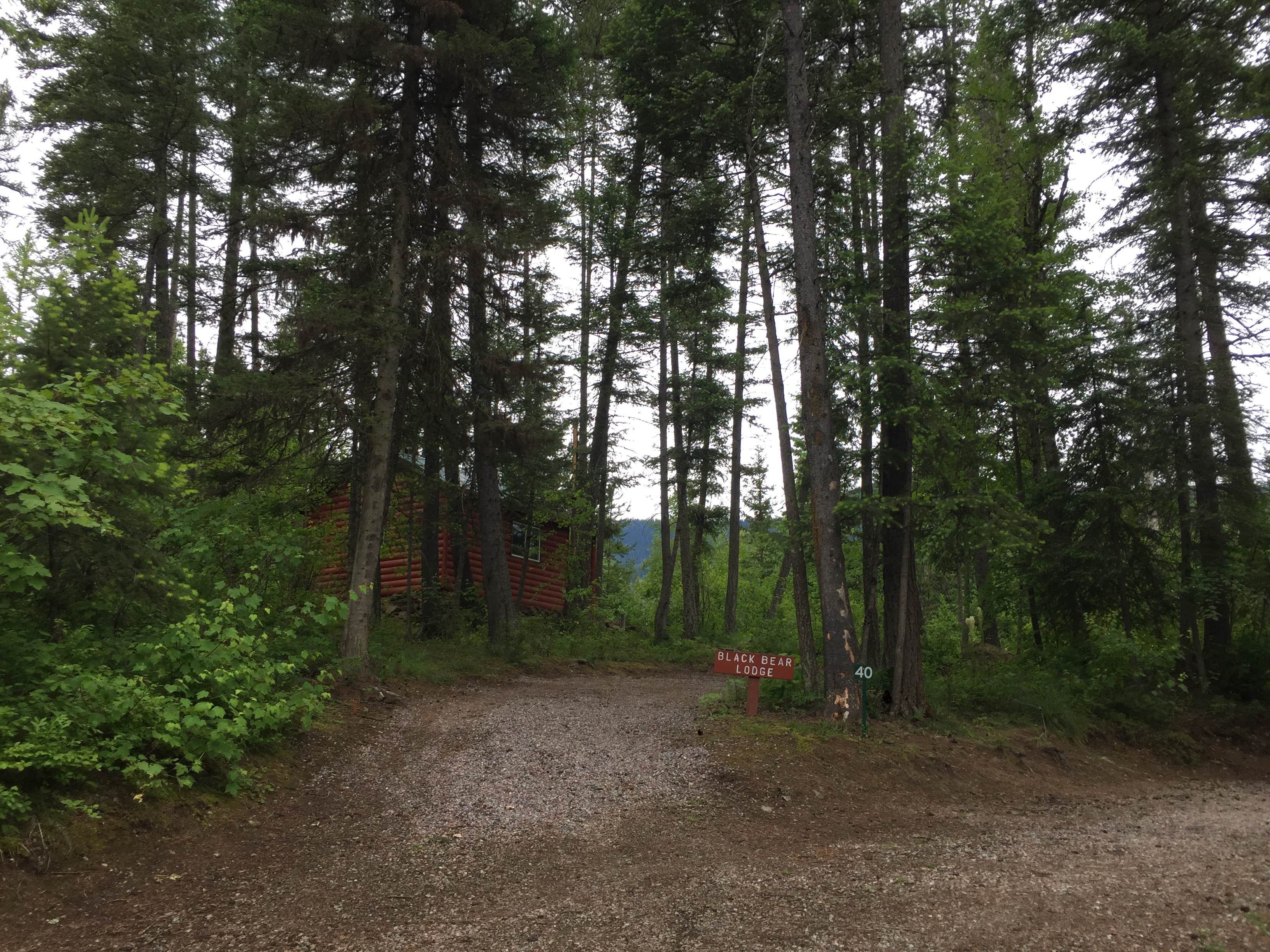 Camper-submitted photo at Mountain Meadow RV Park and Cabins near Siyeh Bend, MT